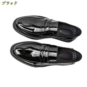 [t@[ XbvI Y hCrOV[Y ^]C y _炩 ʋ TCY 傫TCY JV ʊw  pI L Sn Ȑ ʋΌC ItBXV[