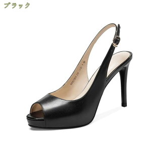 1000~OFFN[| T_ fB[X sq[ obNxg {v C T_ I[vgD pvX obNXgbv XeBbgq[  T_ fB[X ₷pv