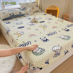 1000~OFFN[|  {bNXV[c VO ~ gV[c  V[c ̂т̂ xbhV[c ӂӂ h tBbgV[c ÓdCh~ }CNt@Co[ }bgXJo