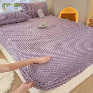 1000~OFFN[|  {bNXV[c VO ~ gV[c  V[c ̂т̂ xbhV[c ӂӂ h tBbgV[c ÓdCh~ }CNt@Co[ }bgXJo