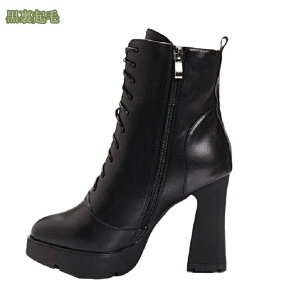 1000~OFFN[| |CebhgD V[gu[c fB[X  nCq[ r Xg[ q[ ₷ ANu[c TChSA u[c u[eB[ ubN  уu[c `