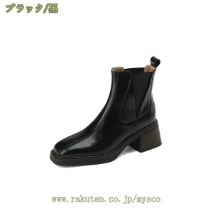 1000~OFFN[| XNGAgD `FV[u[c V[gu[c fB[X 傫TCY {v U[ TChSA  5.5cmq[ ~ ₷ ₷ ʋΒʊw w o