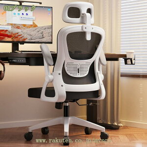 1000~OFFN[| fXN`FA ֎q ItBX`FA bV ʋC ˏグA[Xg e[N  Ȃ lԍHw  360x] ׋֎q [N`FA ݑ`FA