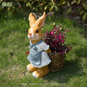 K[f u CeA G Aj} IuWF ̒u 킢 k ObY ɒu ̒u O AEghA fR[V  Jg[G I[ig  