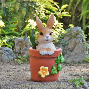 1000~OFFN[| u I[ig  K[fjO IuWF  Aj} K[fG  CeAG  k 킢  K[fI[ig |pi ̒u 