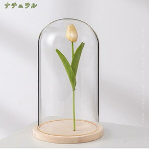 300~OFFN[| KXh[ KX h[^ fBXvC i vU[uht[p DIY~j`Ai tBMA CeA hoJo[ 㑕p WP[X fBXv