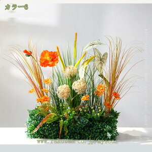 1000~OFFN[|  tFCNt[ lHA  ^ CeA   l jF sN  F ԏ iσfR[V Vbvx t X܃fBXvC 