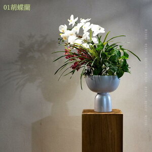 1000~OFFN[| V tFCNt[  a_ ԕr  e[ũZ^[s[X _CjO Lb` rO[ ԕrt Xܗp ItBX Ԕ 