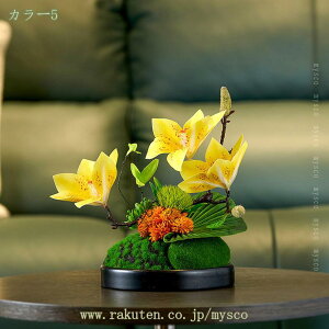 1000~OFFN[| tFCNt[  V tFCNO[  Ή  ΂O @ׂȗt RȎp Cɖ lHϗtA  |[`  ړ] Iȑ f