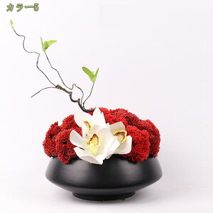 1000~OFFN[| tFCNt[ ^~  㕗 y؃X^C A[gt[ Ԋ rO e[ufR[V ~j}fUC CeA   N