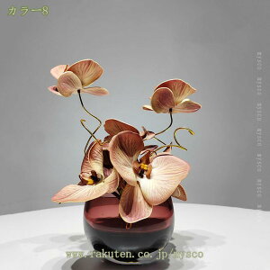 1000~OFFN[| tFCNt[   ͂Ȃ A ԕrt V ̂юѕ CeA  t[AWg VNt[ fBXvC Z^[s[