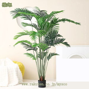 2000~OFFN[| lHIȃV̖ tFCNO[ ϗtA Mъϗt VbsOZ^[ k ԃO[ ͂Ȃ ItBX CeA  lHA ̑ Be