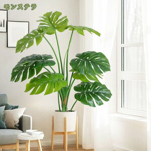 1000~OFFN[| Tw| lH ϗtA tFCN O[ ^  CeA  O tFCNA lHϗtA tFCNO[ sv ͂Ȃ ~͐A lH INS q 