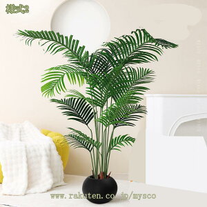 1000~OFFN[| lHV̗t lHϗtA Mт̃V̗t MѐA ItBX z[  tFCNO[ 傫ȃV̗t nCAp[eB[ z[ItBX rO[ _