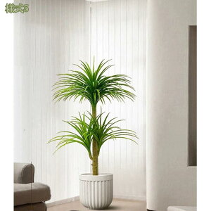 1000~OFFN[| tFCNO[  130CM ϗA lHϗt ϗtA tFCN  Vv ItBX  CeA ^   lH j ̓ A lHt 