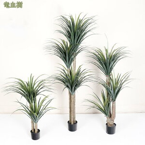 tFCNO[ ϗtAtFCN lHϗtA lHϗt 120cm 150cm 200cm t sv Vv ItBX rO   z jv[g   k ins 