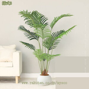 1000~OFFN[| Mт̃V̖ lHϗtA tFCNO[  ϗt lHϗA Vv a m ItBX  CeA ^  lH j ̓ lHϗt J