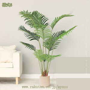 Mт̃V̖ lHϗtA tFCNO[  ϗt lHϗA Vv a m ItBX  CeA ^  lH j ̓ lHϗt JX J Vz r