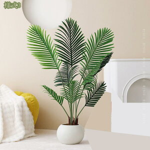 1000~OFFN[| tFCNO[ ϗtA tFCN V̖ lHϗtA ^ 120cm CeA fBXvC  A ϗA  Vv ItBX AԁAցAO