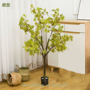 tFCNO[ ݂ CeA A ~W lHϗtA ϗtA lHA Vv ItBX  bsv ͂Ȃ  j A ԉ fR[V v[