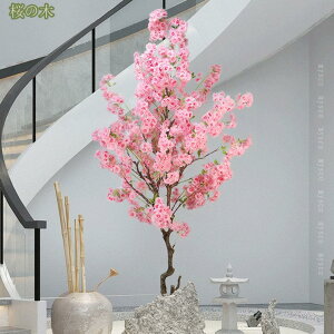 Ύ lHϗtA ^ tFCNO[ CeA Ƃ̒ɒu  bȂ sv  Lb` ItBX tFCNc[ Vzj p[eB[   fR[