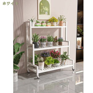 K[fbN 3i X LX^[t O  h~ ؂  hK ϗtA A ԑ t[bN t[X^h v^[X^h K[fjO | 