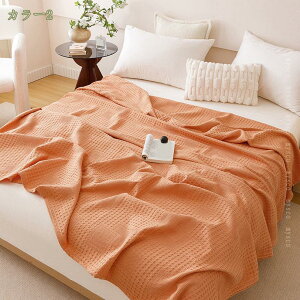 500~OFFN[| K[[Pbg n[tTCY 150×100cm Iׂ6F 100 uPbg 唻 ėp 100% 􂦂 | Ċ| Ԃ k Ђ|   hL h_j ʋC QP