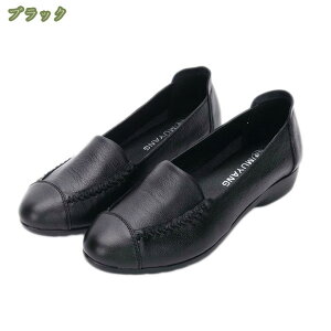 300~OFFN[| rpvX ʋΌC 킢 t  H p  EhgD  3cm Vv ItBX  nEB GKg i y ₷fB[X RXv E