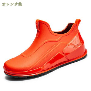 CV[Y Y Cu[c C fB[X JC V[gu[c ʋ Ɨp _ | o[u[c J JC ₷ ɂ jp h h ~J Sh V[