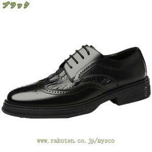 500~OFFN[| Y amC [XAbv EhgD ʋC rWlXV[Y vC hXV[Y ₷ ʋ ItBX tH[}  N[g JWA  p