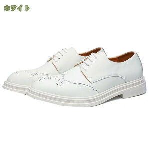 rWlXV[Y Y ɂ h H Xg[g`bv   vC amC rWlX ECO`bv [XAbvV[Y ɂ 20 30 40 50 o  