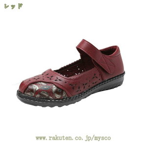 300~OFFN[| pvX  p[eB[ 2cmq[ i ][g wl EhgD EFbW Vv r r ɂ tH[} d ʋΌC 킢 AN