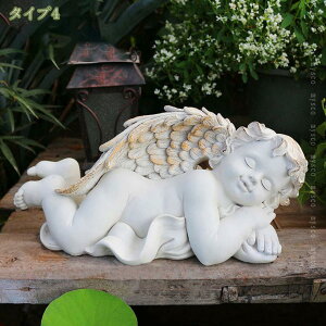1620~OFFN[| Vg̒u d u l` N 傫 GWF K[fGWF  uK[fIuWF 킢 蕨 남̃IuWF ͋Co Vgu 
