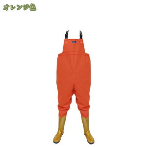 C Cu[c O _ƒC h h jp Y fB[X ܂肽 hpc ނ  Cpc cA EH[^[V[Y J̓ JC hCV[Y y