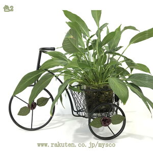 500~OFFN[| vgX^h K[fI[ig K[fG  Jo[ A؃Jo[ 񂹐A K[f  rO  x_ ] u  gCVN ]ԋ