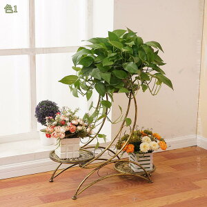 1000~OFFN[| t[X^h [sAt[X^h ԃK[fv^[ St[{bNX ]ԐAI t[|bgJ[gz_[ ԐȂ㑕 ԐAX^