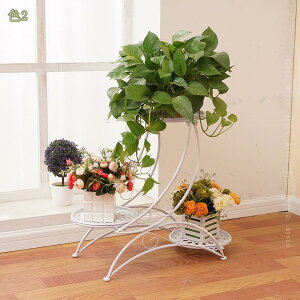 1000~OFFN[| t[X^h [sAt[X^h ԃK[fv^[ St[{bNX ]ԐAI t[|bgJ[gz_[ ԐȂ㑕 ԐAX^