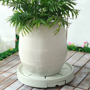 300~OFFN[| Aؔ ԑ t[ v^[ M X^h v^[ LX^[t ~`  O v^[X^h  u  Aؔ u v[g t