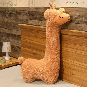 500~OFFN[| A ܂  ӂӂ NbV LN^[ ʂ v[g  ܂  ObY 킢 􂦂 bNX ObY ܂  A