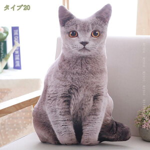 ʂ   Ck l`   傫 ʂ  􂦂 D      A  j̎q ̎q aj 
