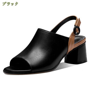 1000~OFFN[| obNXgbv pvX  傫TCY ~hq[ 5cm ₷ ɂȂ EhgD q[ Xgbv T_ fB[X  ʋ ItBX tH