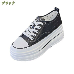 1000~OFFN[|  Xj[J[ ʋCXj[J[ ₷ fB[X [Jbg K [XAbv Vv  r ׌ ₷ Ȃ d ʊw ʋ RC AE