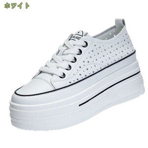  Xj[J[ ʋCXj[J[ ₷ fB[X [Jbg K [XAbv Vv  r ׌ ₷ Ȃ d ʊw ʋ RC AEghA s v