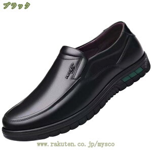 300~OFFN[| Xj[J[ y JV ʋC  Y vC  rWlXV[Y OH L F 3E hXV[Y {v amC ʋC hU[ ₷ h JW