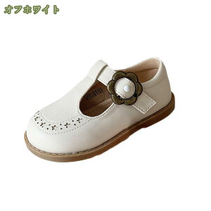 1000~OFFN[| tH[}V[Y  tbg ؂ LbY WjA ̎q qC EhgD }WbNe[v Vv  JWA w Ǝ mysco