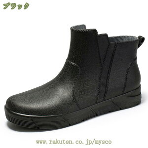 500~OFFN[| CV[Y Y ꂢ񂵂[ JC V[g y h ~J΍ JWA V[g Cu[c rWlX 䕗΍ h ʋ ʊw Jꌓp K y J