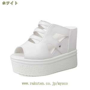 1000~OFFN[| ~[ fB[X ~[ ~[T_ EFbW\[ Vv I[vgD nCq[ 12cmq[ ₷ y  r TCY  T