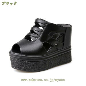 1000~OFFN[| ~[ fB[X ~[ ~[T_ EFbW\[ Vv I[vgD nCq[ 12cmq[ ₷ y  r TCY  T