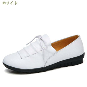 500~OFFN[| fB[XJV ʋC X[X oGV[Y hCrOV[Y fB[X tbg RtH[g ₷ mC JWA }}V[Y ʊw ʋ r