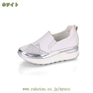 300~OFFN[| Xb| fB[X Xj[J[ ؂ y^R  ₷ 傫TCY TCY ubN  zCg    Xb| tbgV[Y 킢